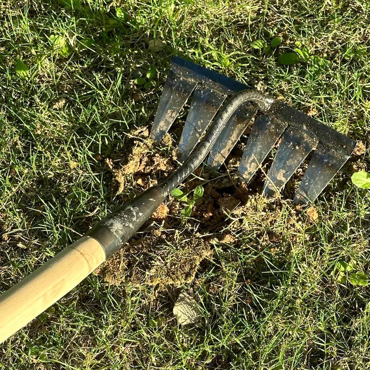 Carbon Garden Hand Rake Tool Metal Heavy Duty Weeding Rake